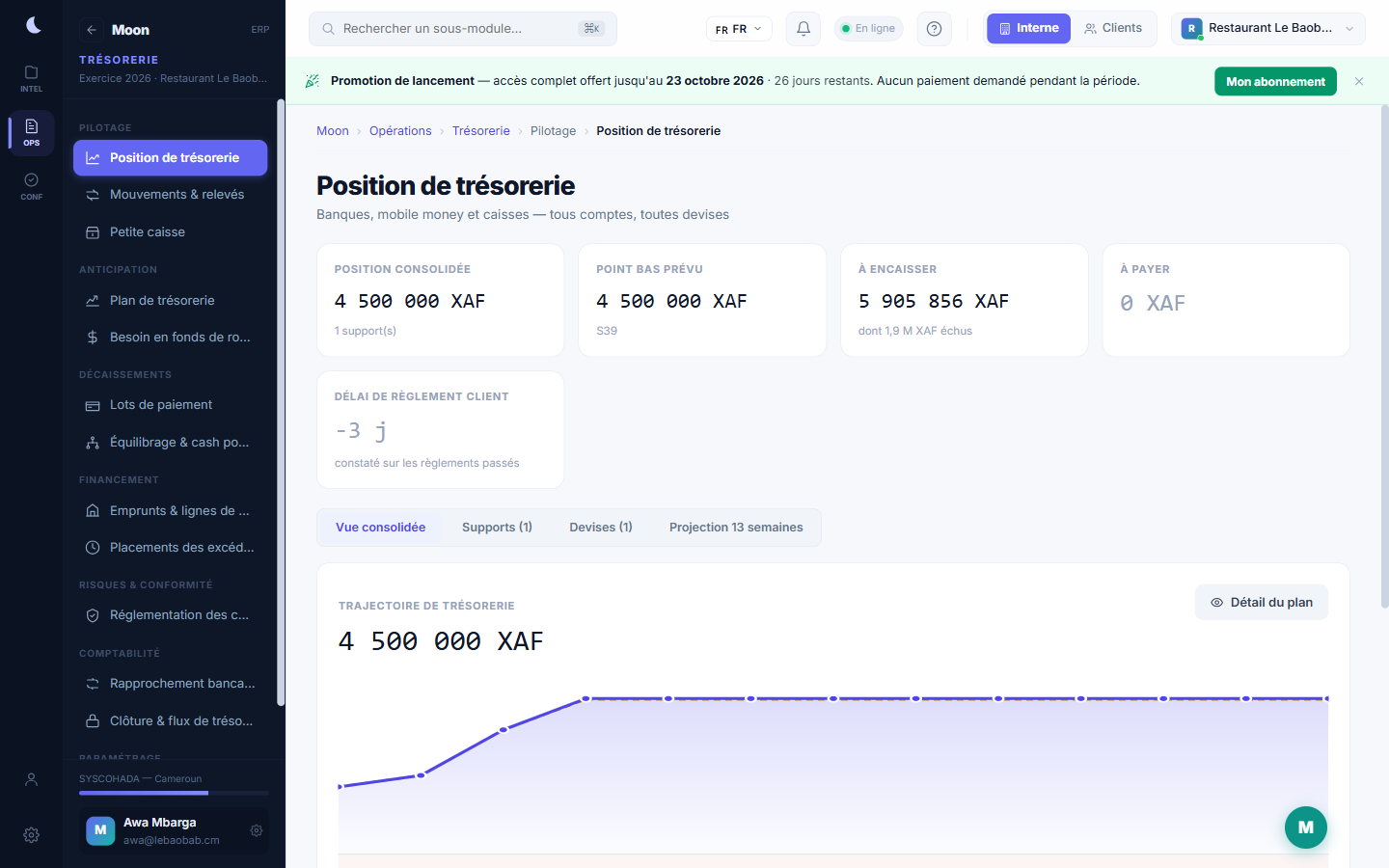 Position de trésorerie : banque et caisse